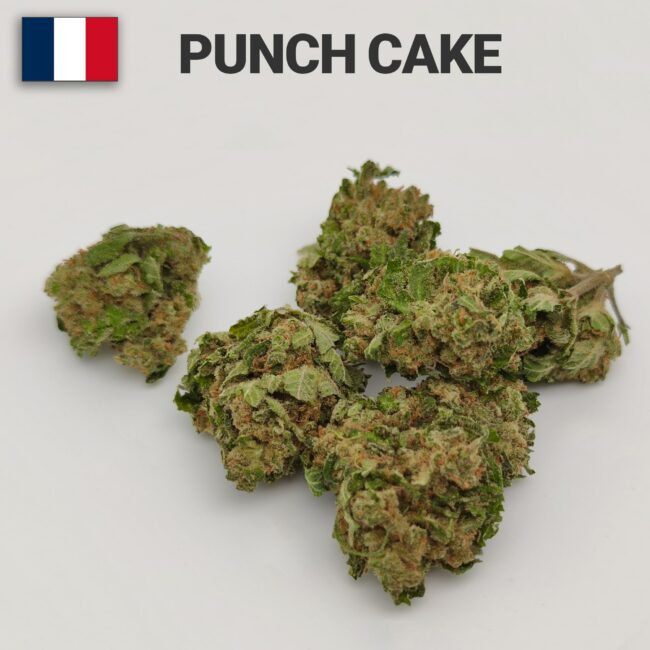 fleur cbd punch cake green house france 2